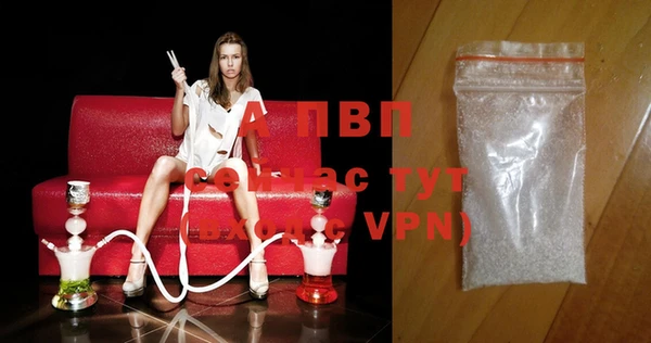 трава Белокуриха