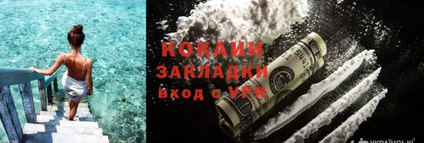 трава Белокуриха