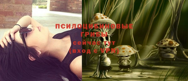 трава Белокуриха
