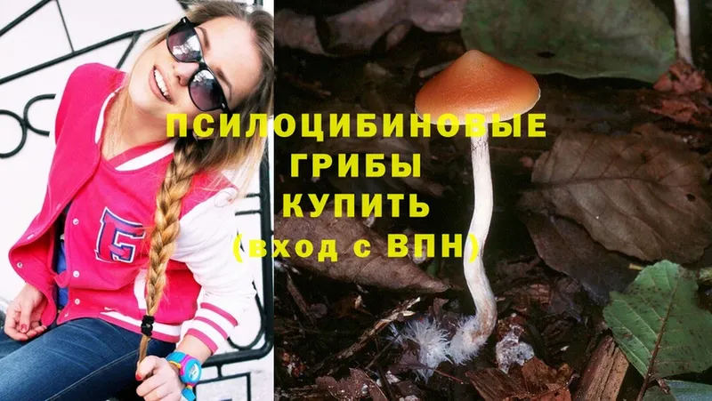 Галлюциногенные грибы Magic Shrooms  купить наркоту  Кириллов 